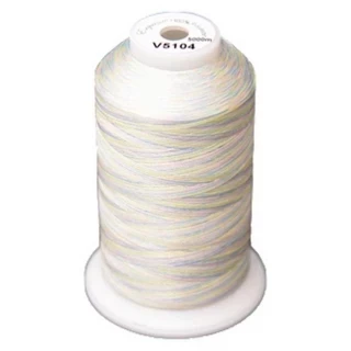 Exquisite Medley Variegated Thread - 104 Pastels Photo