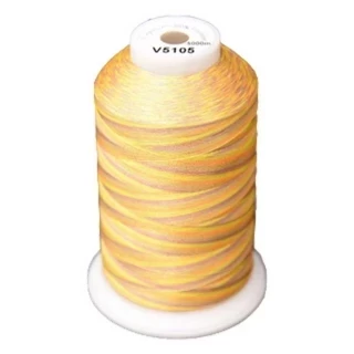 Exquisite Medley Variegated Thread - 105 Citrus Photo