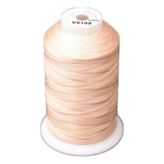 Exquisite Medley Variegated Thread - 109 Desert Canyon Photo