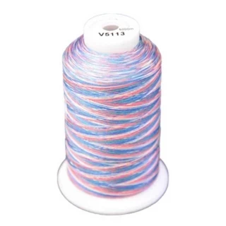 Exquisite Medley Variegated Thread - 113 Carnival Photo