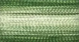 V19 - Floriani Variegated Embroidery Thread, Green Meadow Stripe, 1,100yd spool Photo