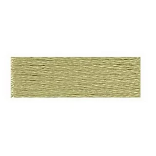 Embroidery Floss 8.7yd 12ct LIGHT KHAKI GREEN BOX12 Photo