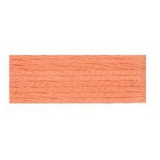 Embroidery Floss 8.7yd 12ct APRICOT BOX12 Photo