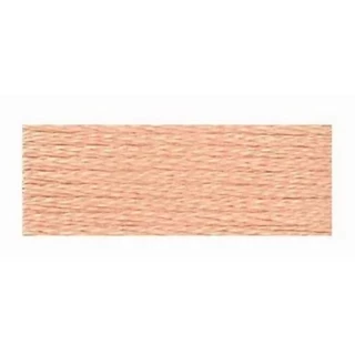 Embroidery Floss 8.7yd 12ct LIGHT PEACH BOX12 Photo