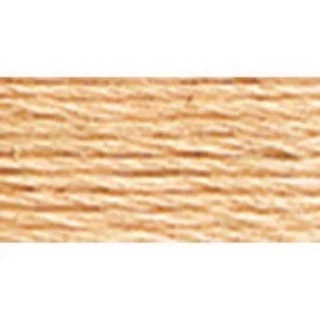 Embroidery Floss 8.7yd 12ct TAWNY BOX12 Photo